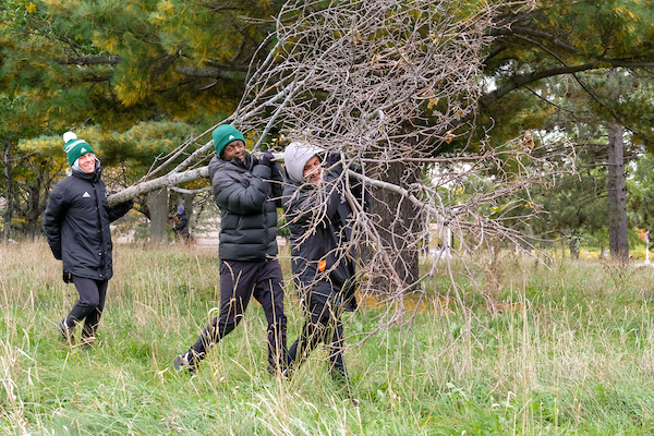 Students clear out dead trees on UW-Green Bay Service Day