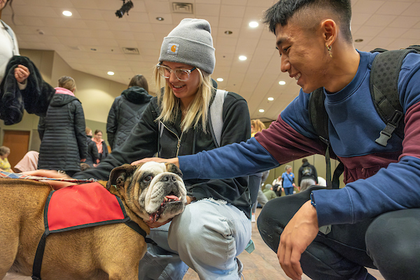 Students betting bulldog at Pause for Paws event