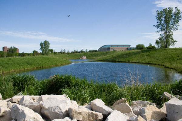 Wetland area on UW-Green Bay campus