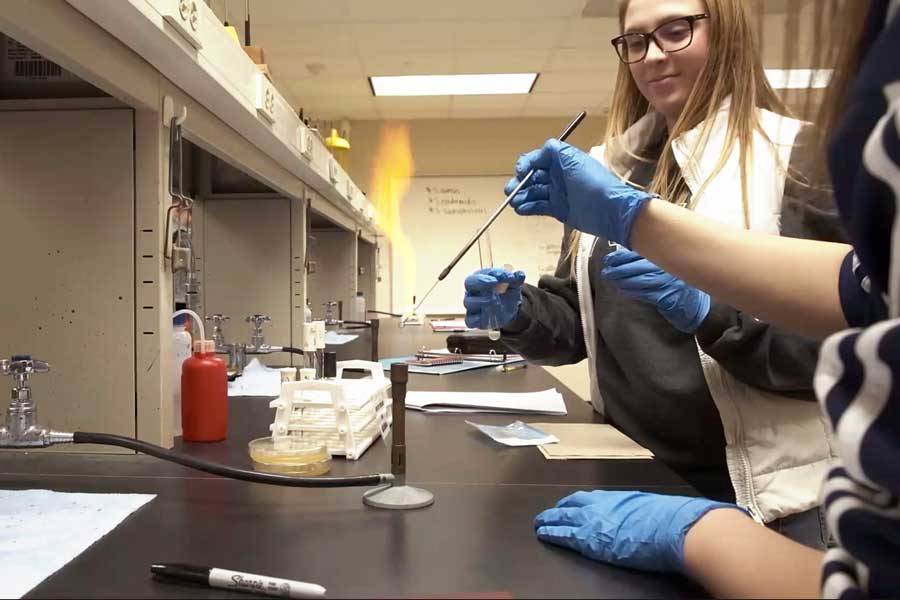 Two students work in lab