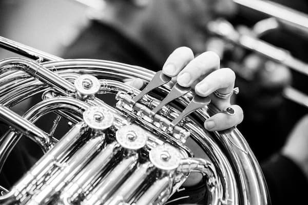 Black and white photos of hand playing a french horn