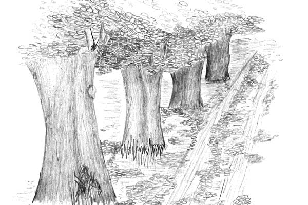 illustration for The Village of Vagabond