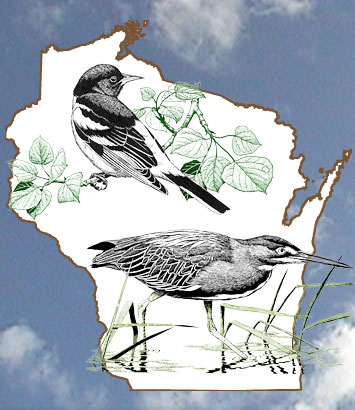 WBBA Logo