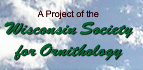 Link to WSO Website