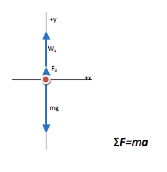 buoyant force body diagram apparent weight physics fbd university problem wisconsin bay