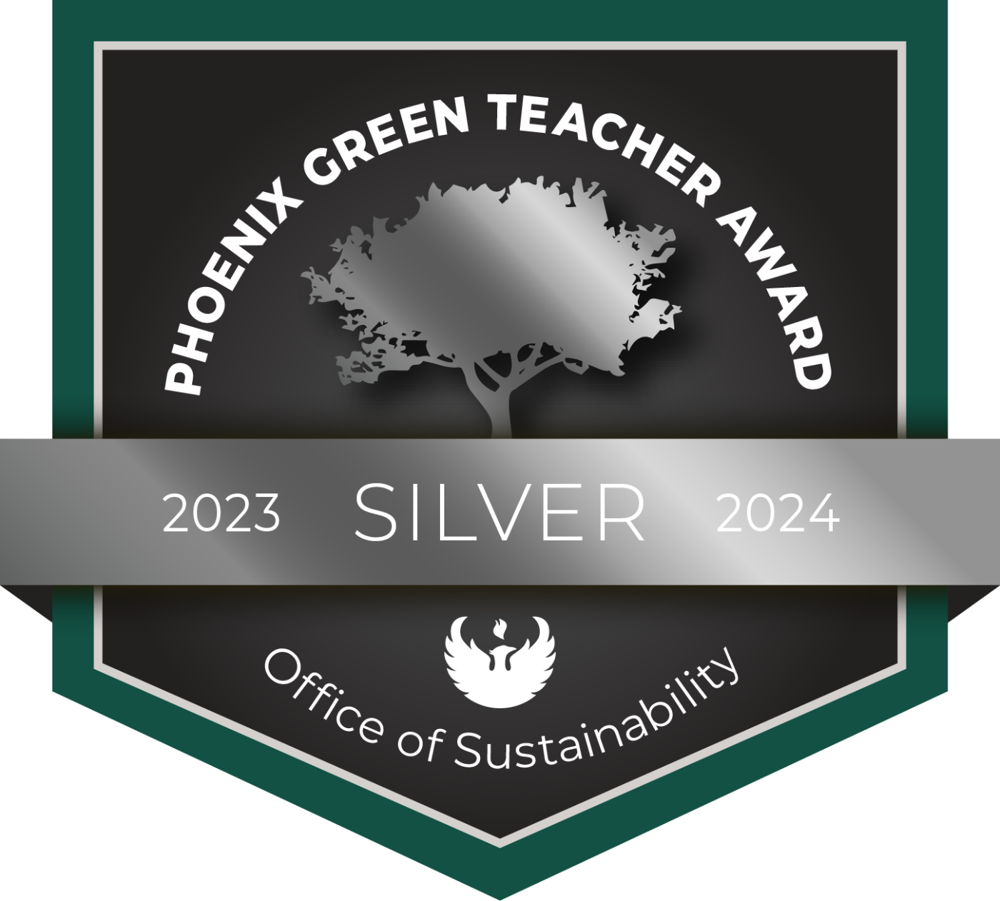 Silver Teacher Award
