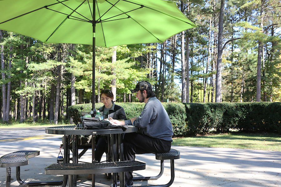 Students sitting outside working on homework