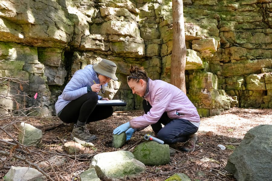 Students learning in the field