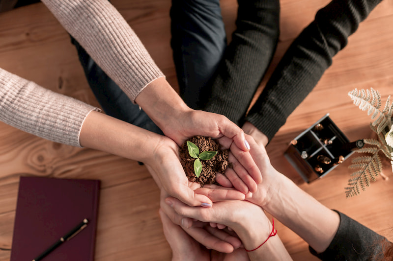holding hands with a plant
