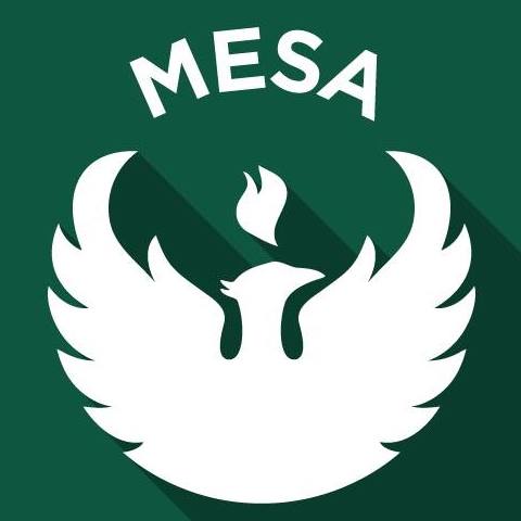 Multi-Ethnic Student Affairs