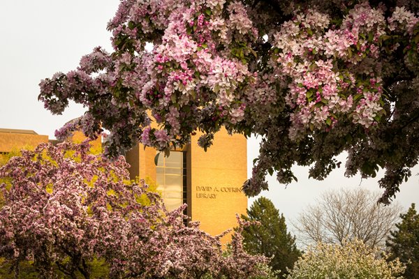 Cofrin library