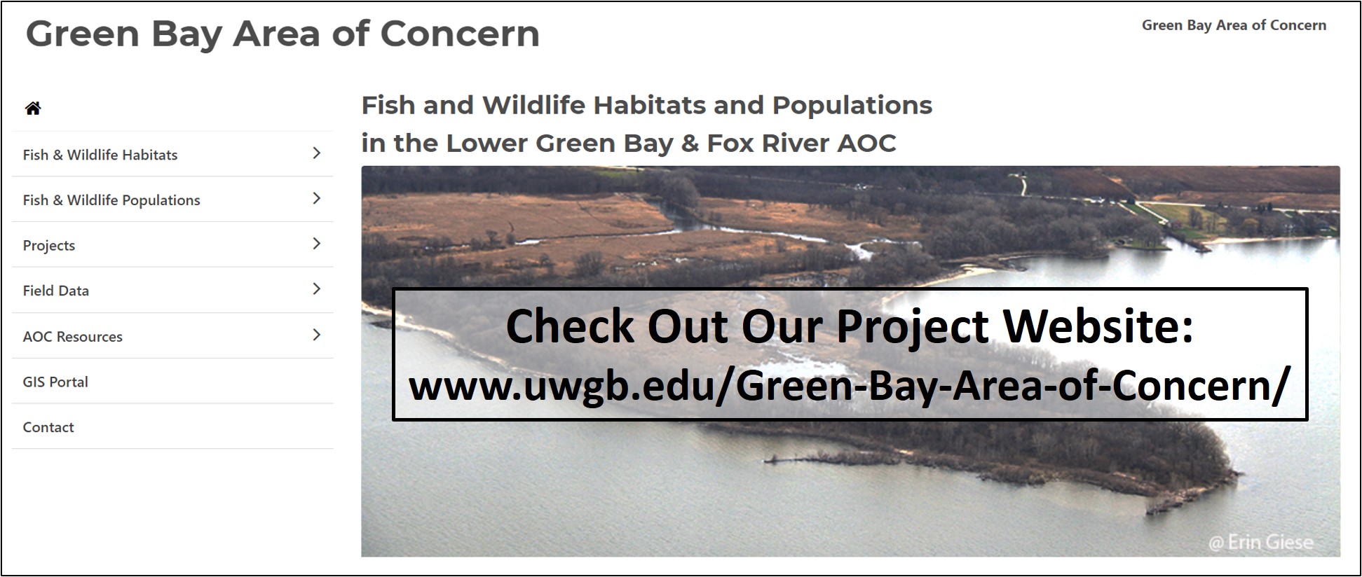 Link to Green Bay Area of Concern website