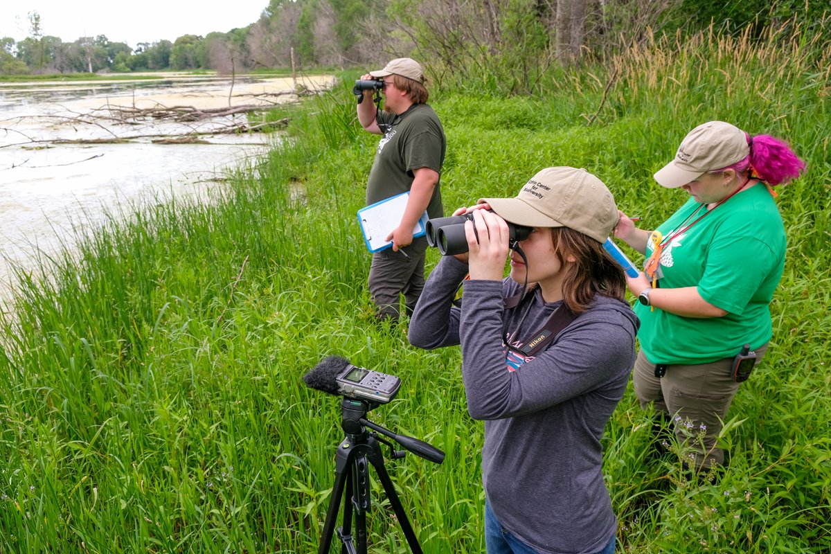 People looking through binoculars