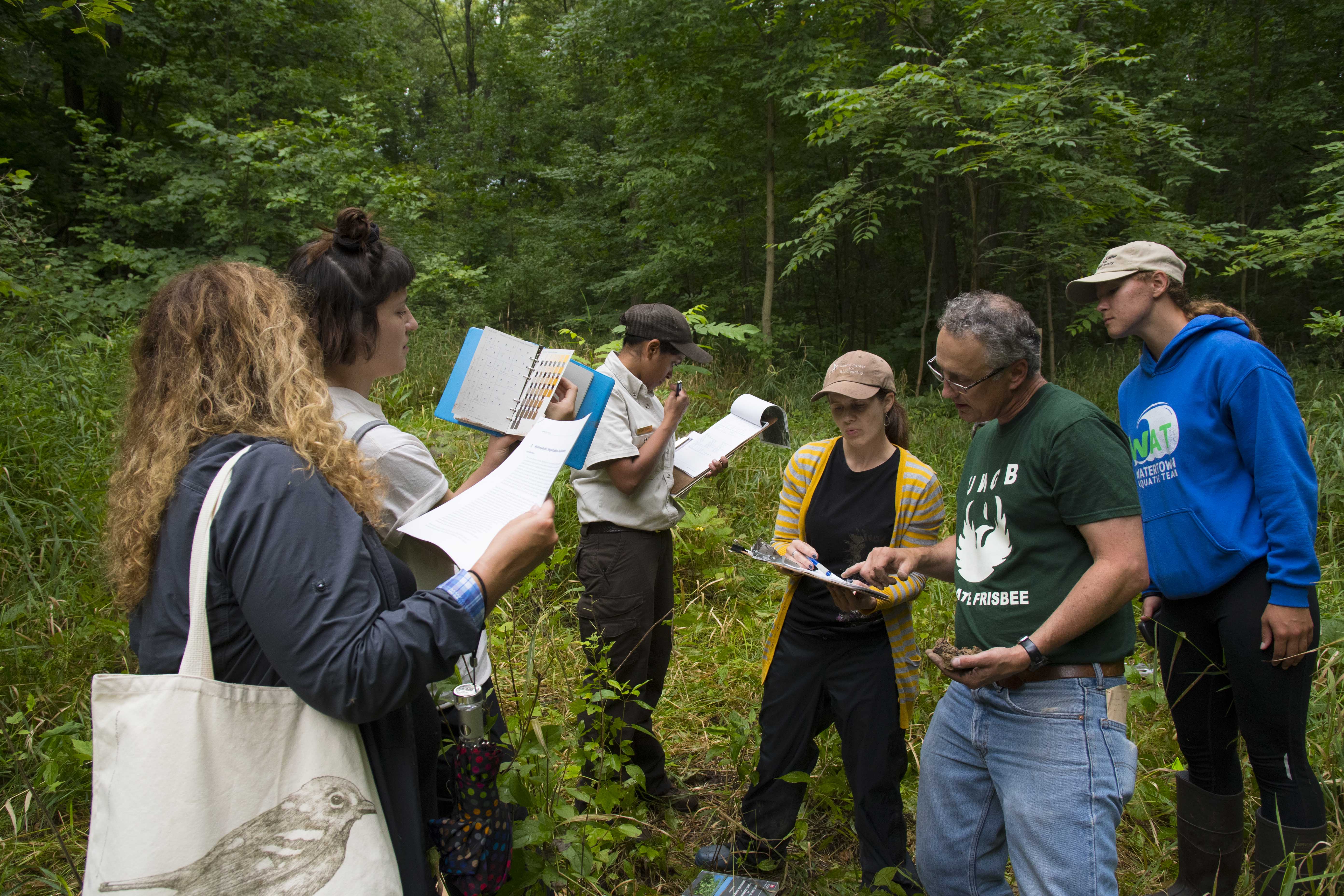 Group of students studying in the field