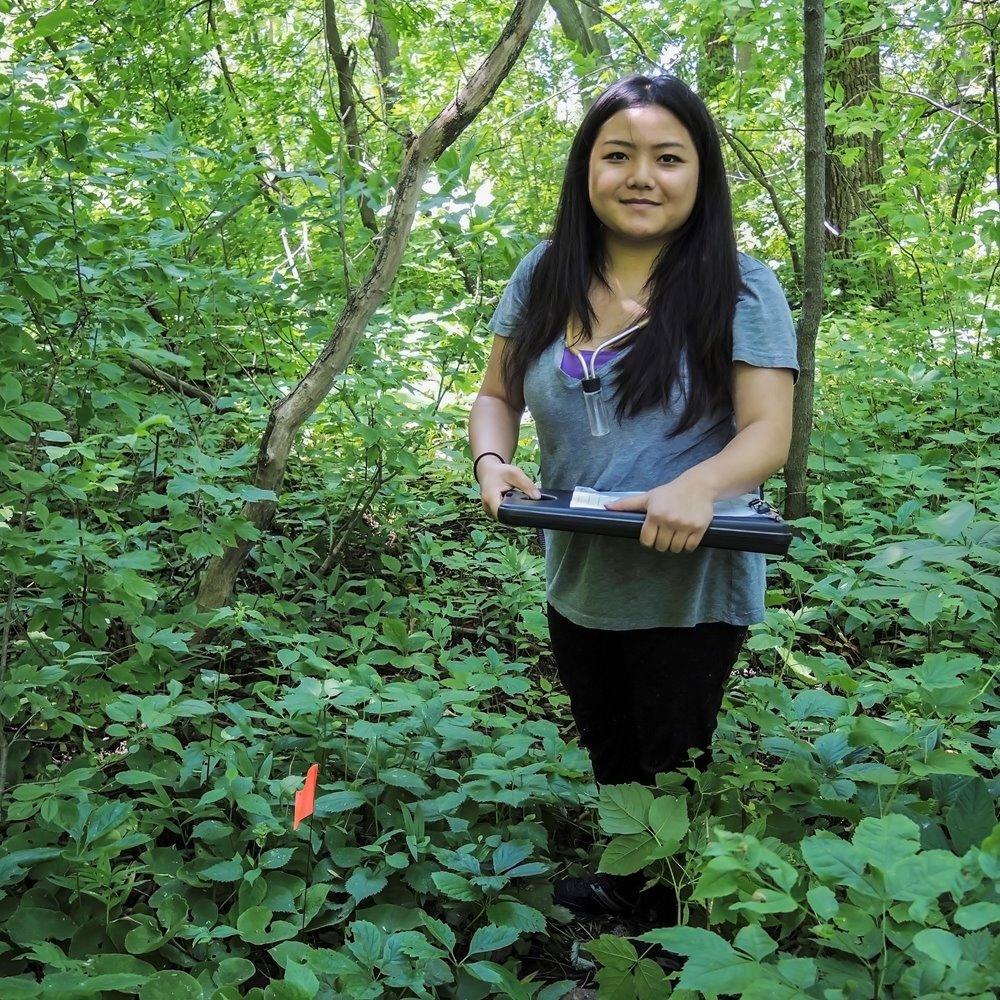 Female student researching in the woods
