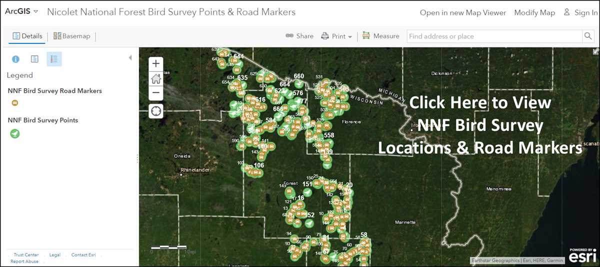ArcGIS Map of the Nicolet National Forrest Bird Survey Points & Road Markers