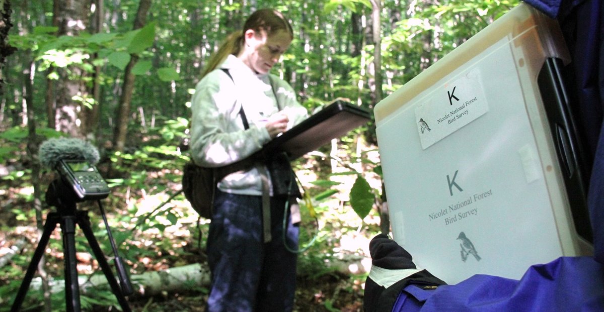 Scientists and volunteers working on Nicolet National Forest bird survey data collection