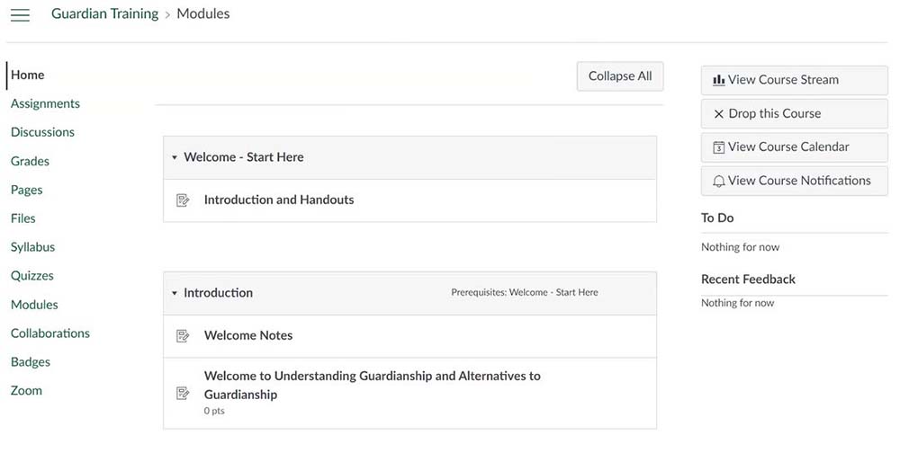 screen shot showing Guardian Training Modules