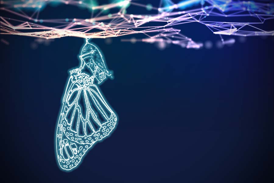 Digital Transformation - glowing butterfly emerging from a chrysalis