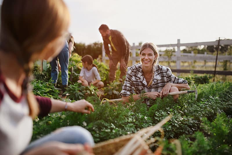 Group of people working in community garden