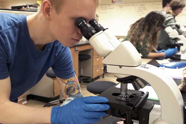 Male student looks into microscope