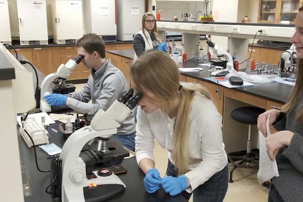 Group of students look into microscopes