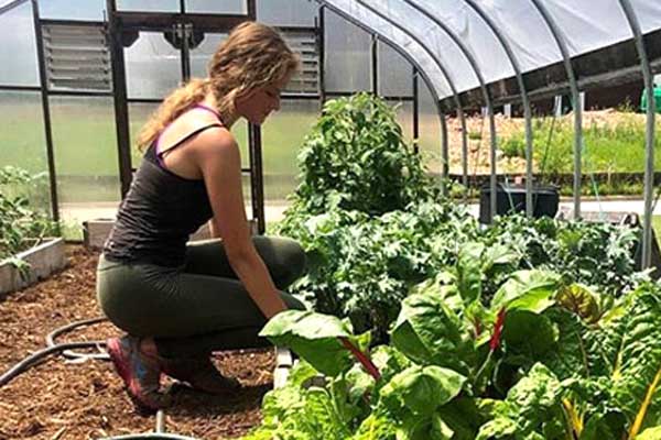 Student working in greenhouse