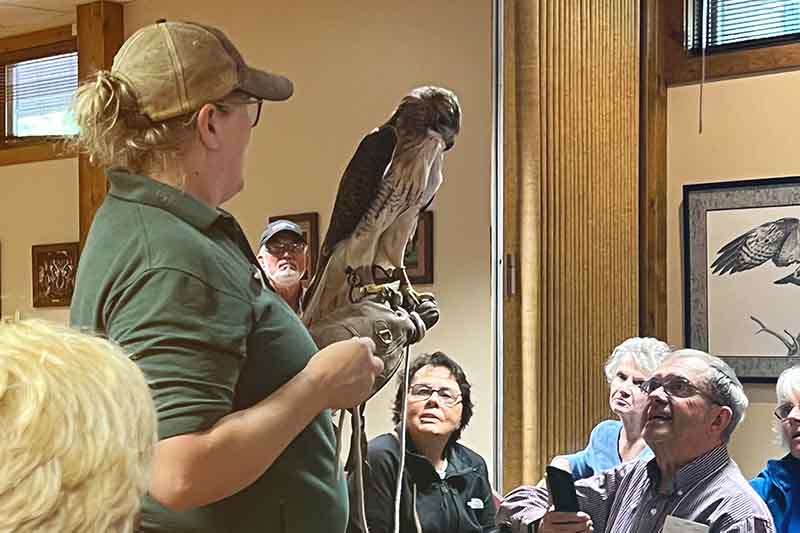 wildlife sanctuary employee holding hawk while giving a presentation to LLI members