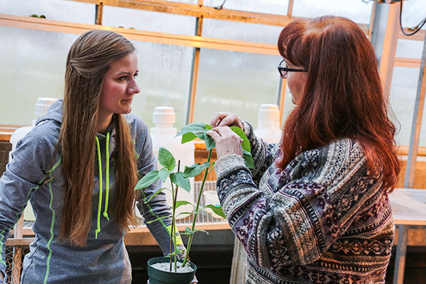 Working in the UW-Green Bay Lab Sciences greenhouse.