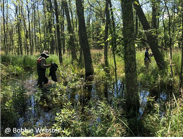 Researcher at Toft Point State Nature Area. Photo by Bobbie Webster.