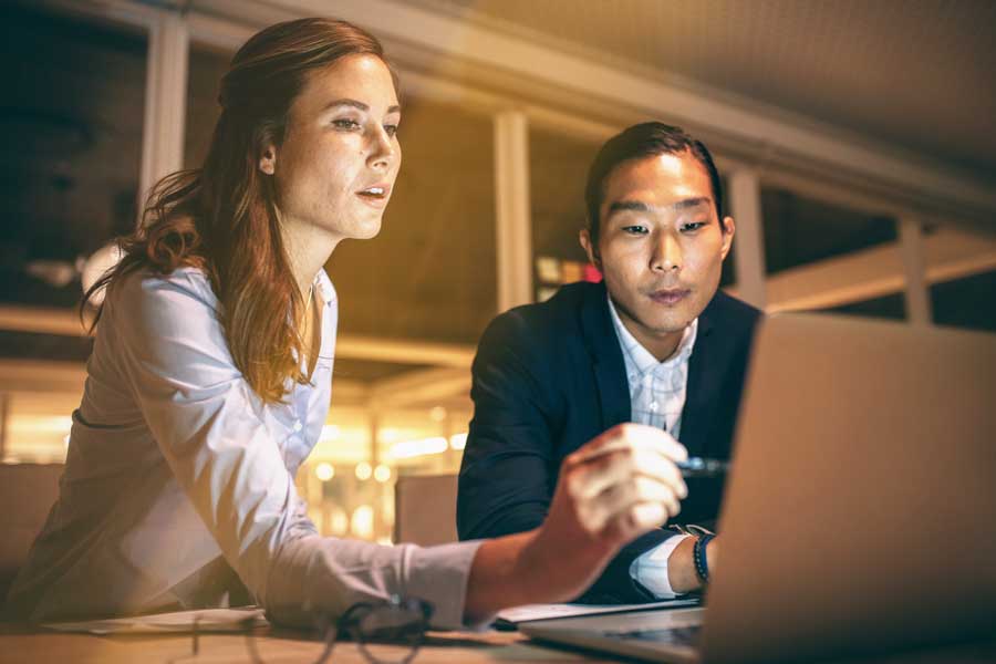 Colleagues work on finances at computer