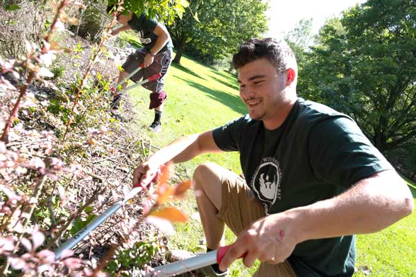 Student trims trees for service day