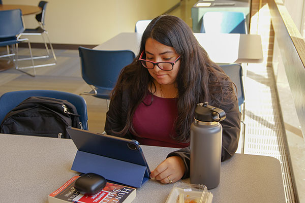 Student studying in a campus common area