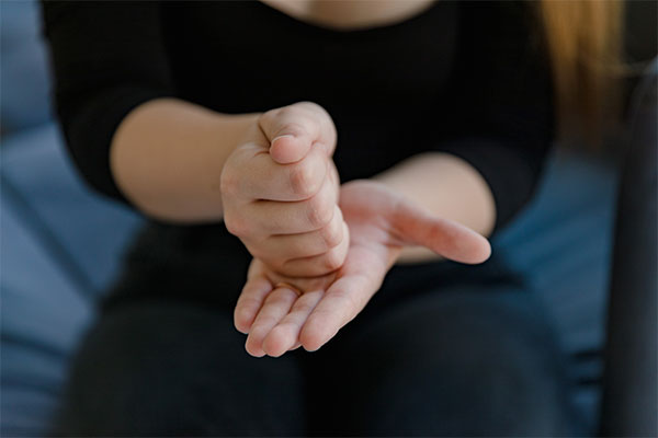 Sign language interpreter