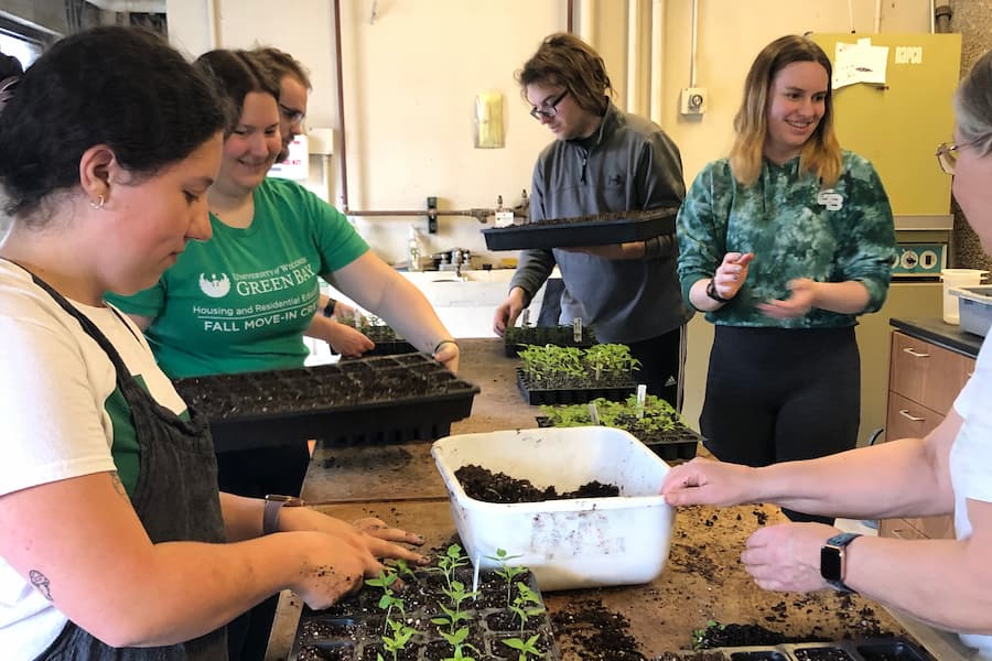 Volunteers with Eco-Friendly Phoenix in prepping these plants for the Heirloom Plant Sale