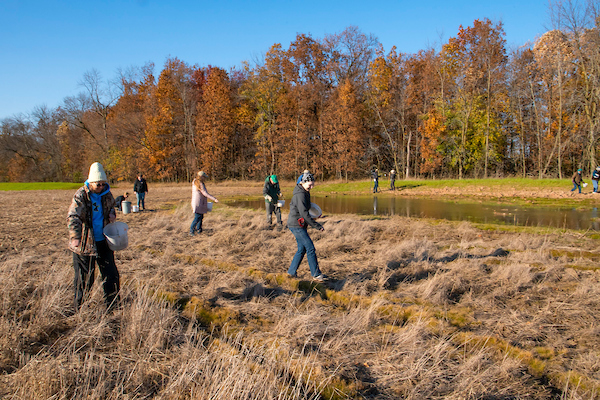 Volunteers planting Wequiock Creek Natural Area