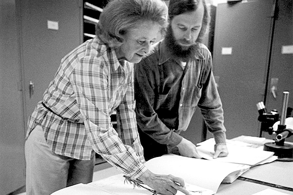 Faculty in the 1970s looking over documents