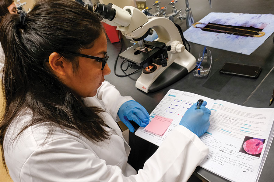 Student researching for Tiny Earth in lab