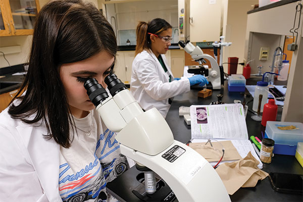 A student looking into a microscope in a lab.