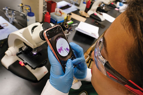 A student taking a picture of what they see in the microscope lens.