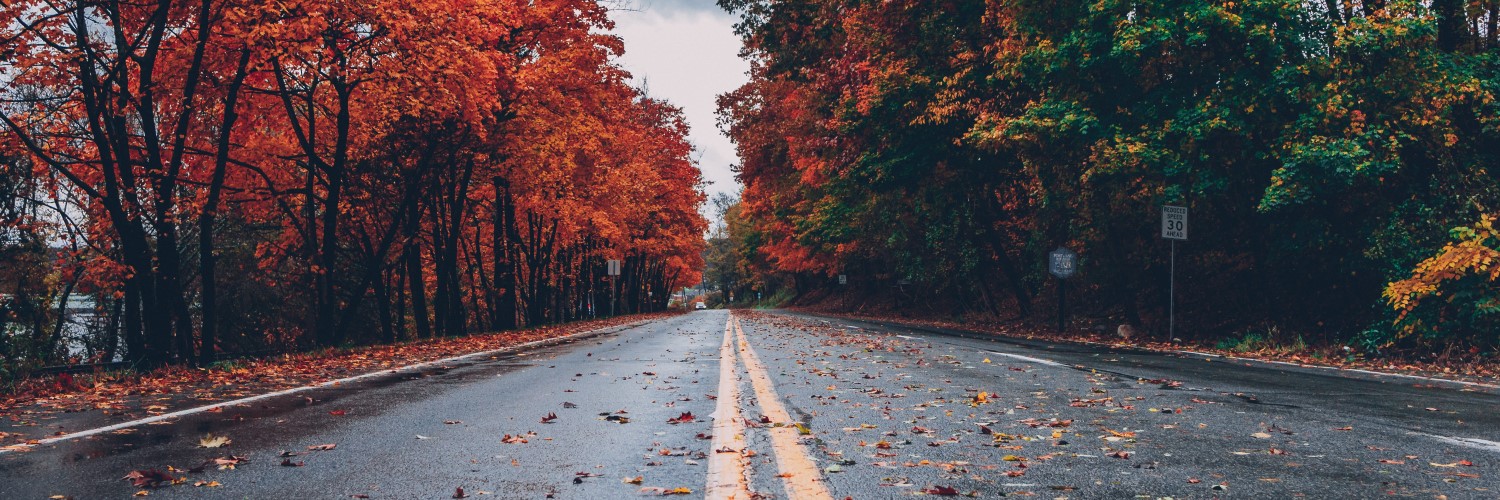 Image of autumn on the road