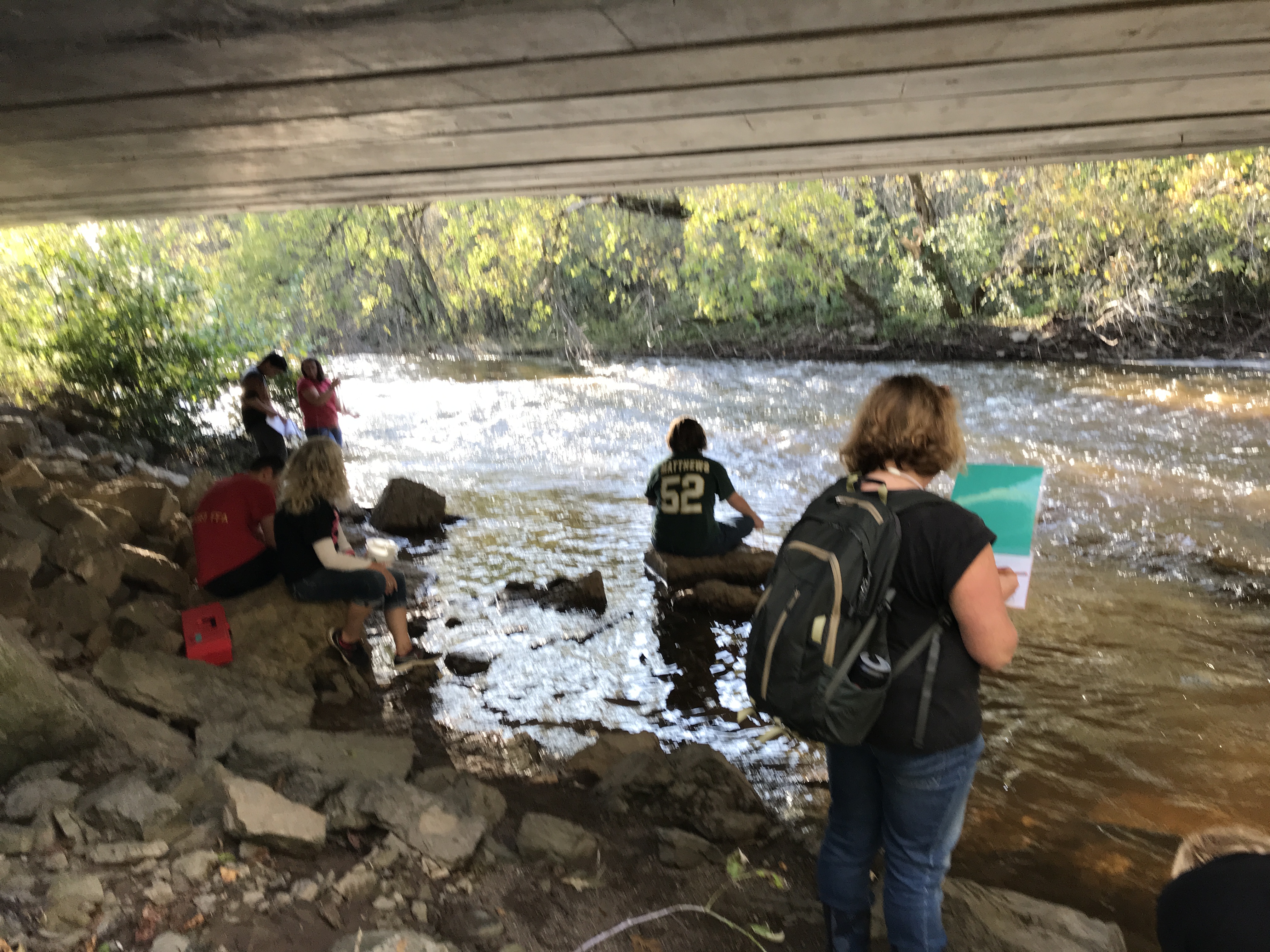 Students studying watersheds