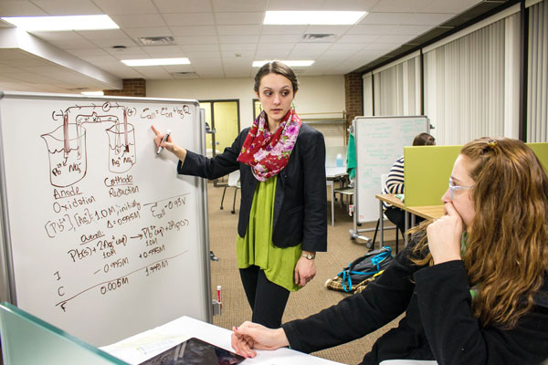 Student and tutor studying