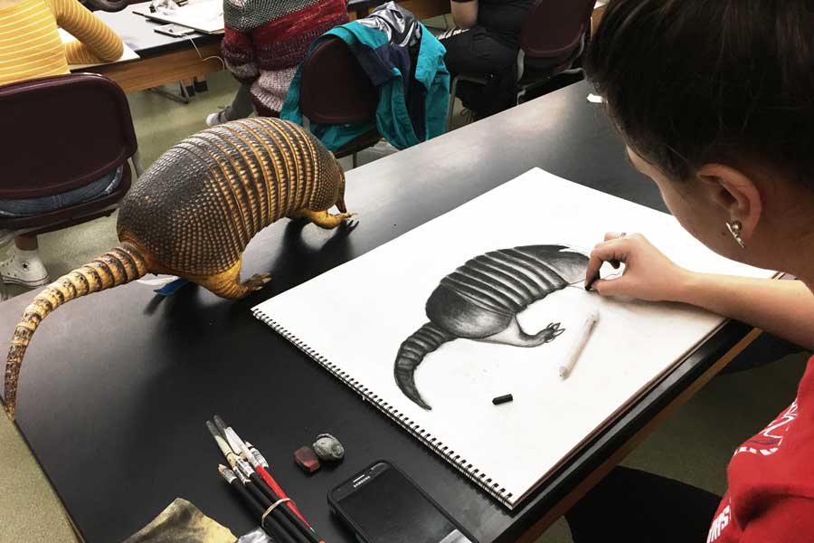 Student uses charcoal to draw armadillo