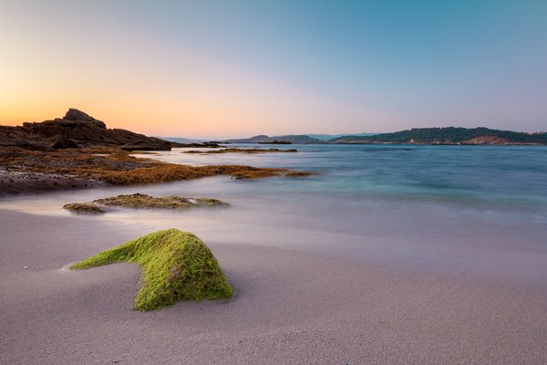 Introduction to DBT Skills Training and Core Mindfulness Skills