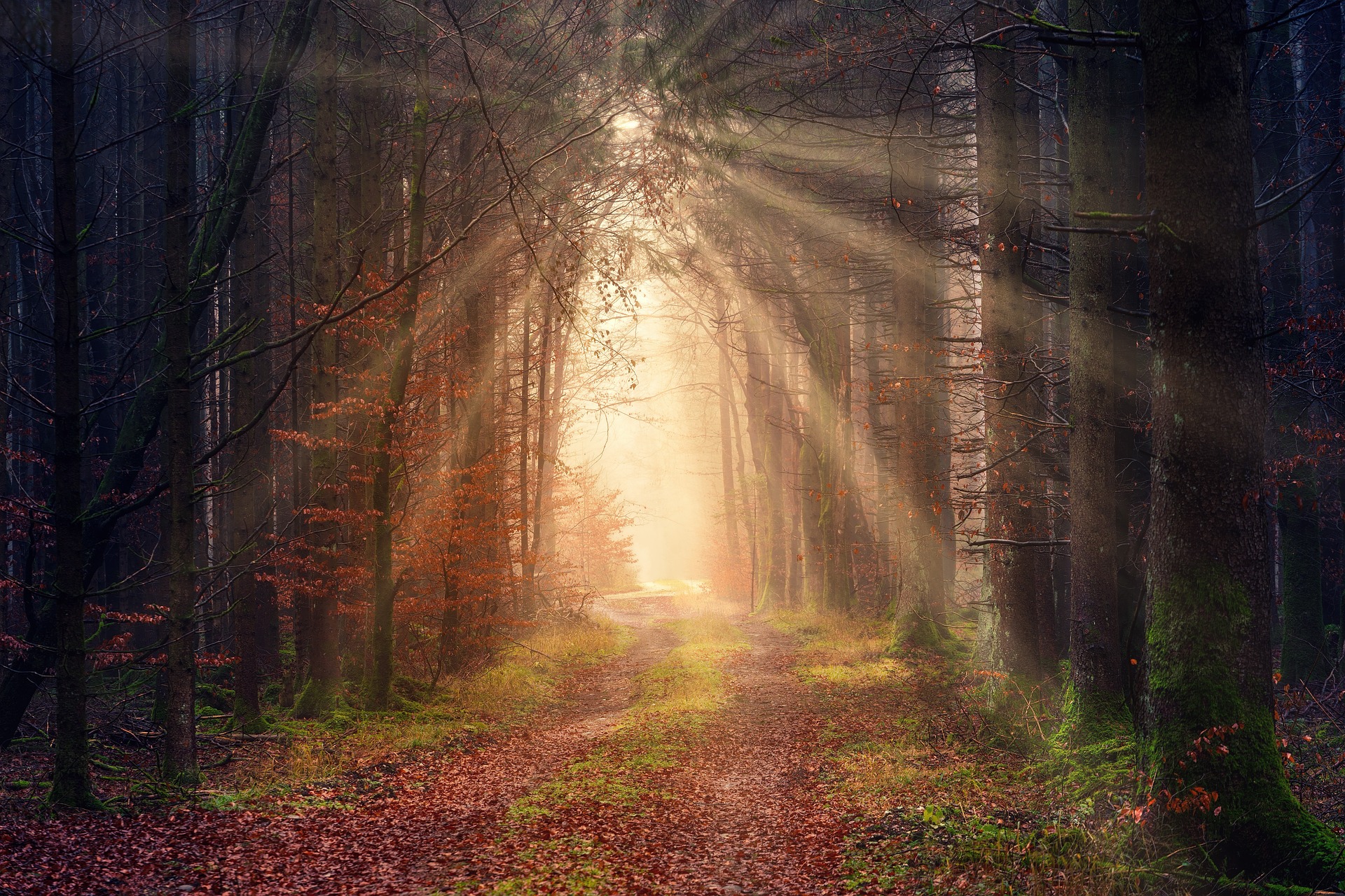 Hoarding to Hope: What is Hoarding and How to Help