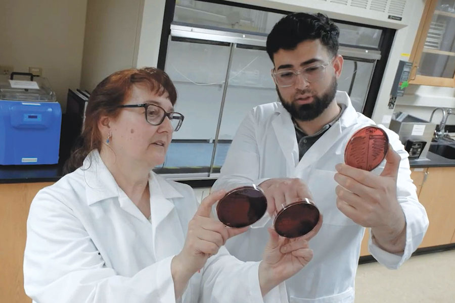 Adam Cordova inspecting petri dishes with professor.