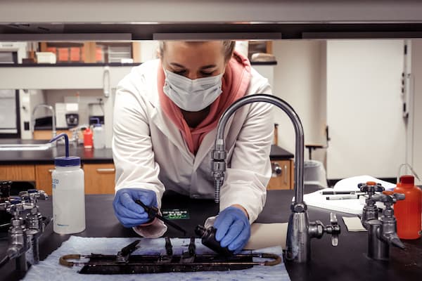 Student performs research in lab