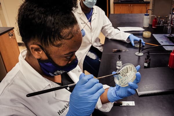 Biology student does lab tests
