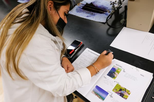 Student does research for Tiny Earth project